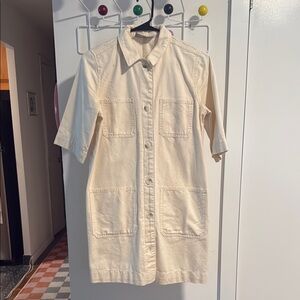 Everlane Denim Shirt Dress